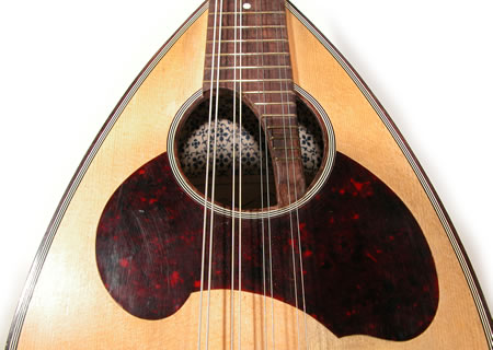 Plectra instruments - The mandolin